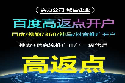 社交平台信息流广告推广的典型案例分析